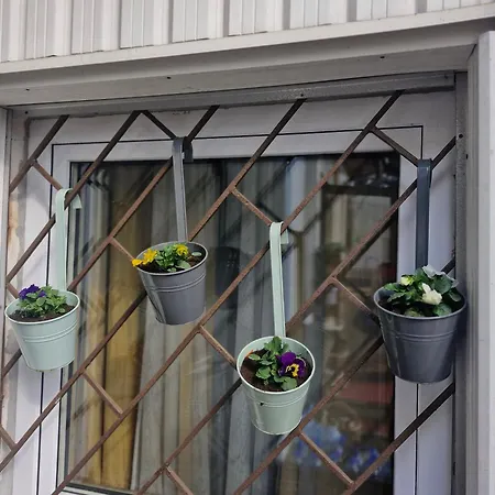 Goromania Guest house